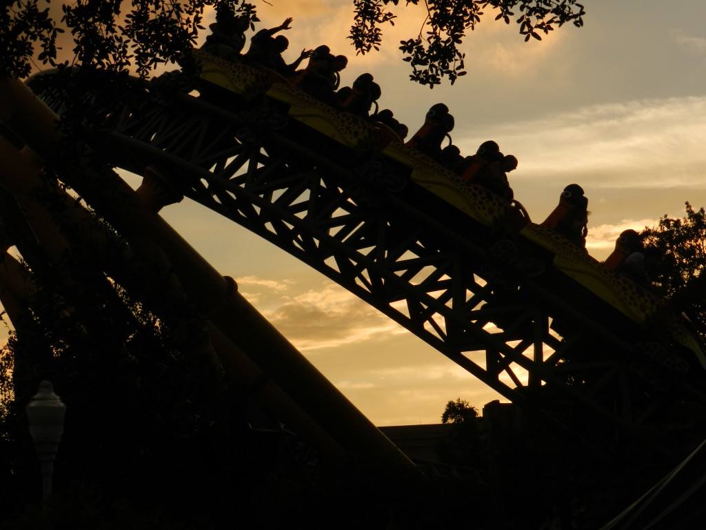 Busch Gardens Tampa Cheetah Hunt Roller Coaster at Night