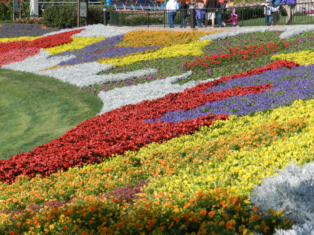 EPCOT Flower Garden Festival 2013 Garden area. Photo Copyright ThemeParkHipster.