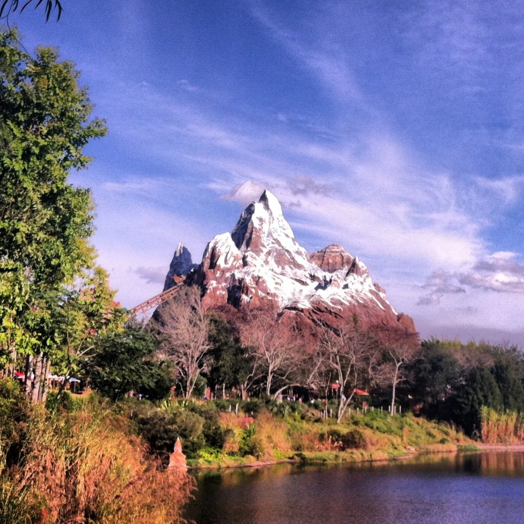 Expedition Everest at Disney's Animal Kingdom