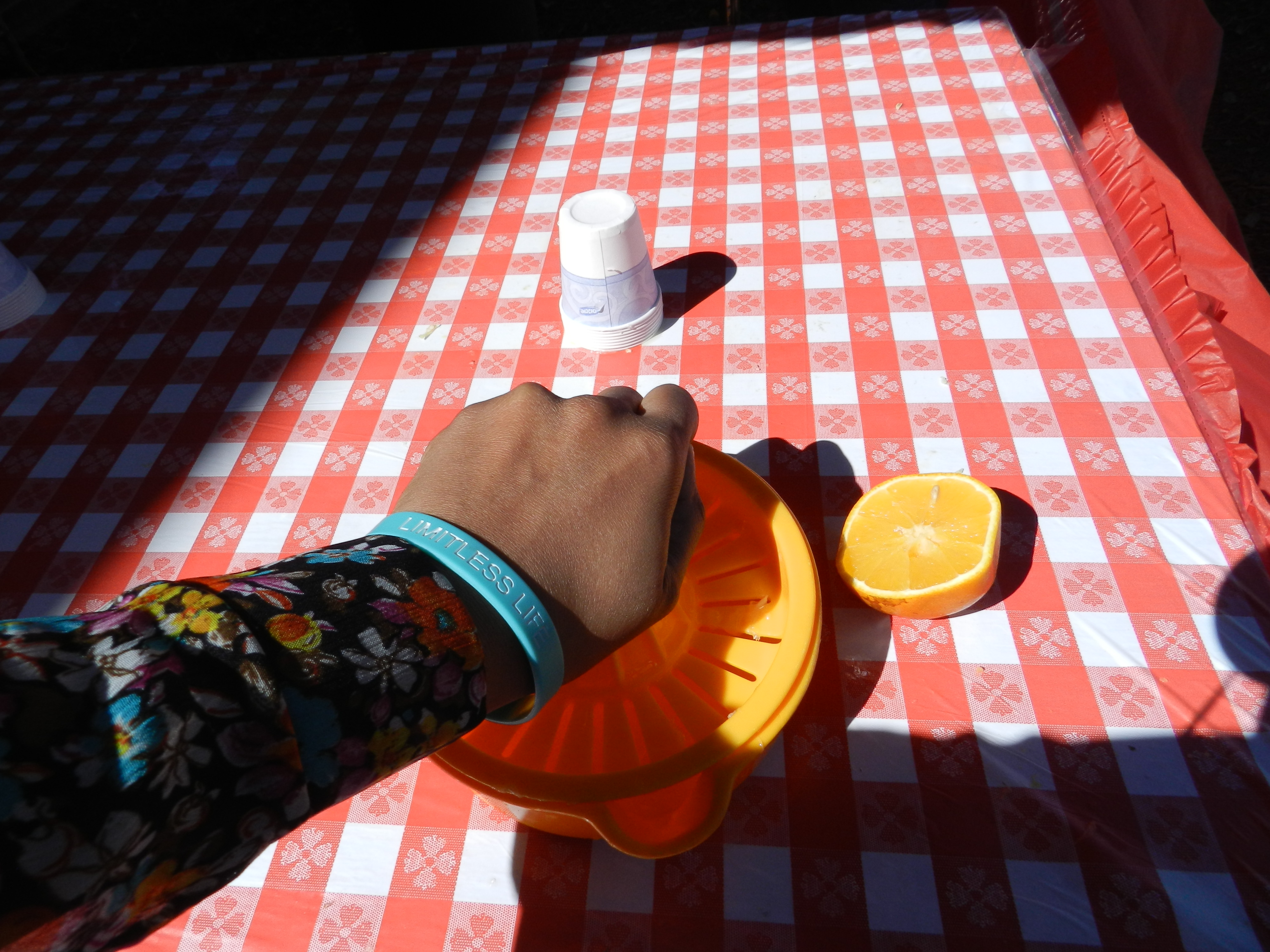 NikkyJ squeezing oranges to make orange juice in the Ag-Adventure section of the Tampa fair. Keep reading to get the full Florida State Fair Guide with Tickets, Food, Concerts, Rides and More! Photo Copyright ThemeParkHipster.