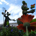 Epcot Flower and Garden Festival 2014 with Daisy Duck and Goofy Topiaries