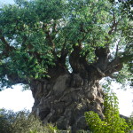 Animal Kingdom Tree of Life