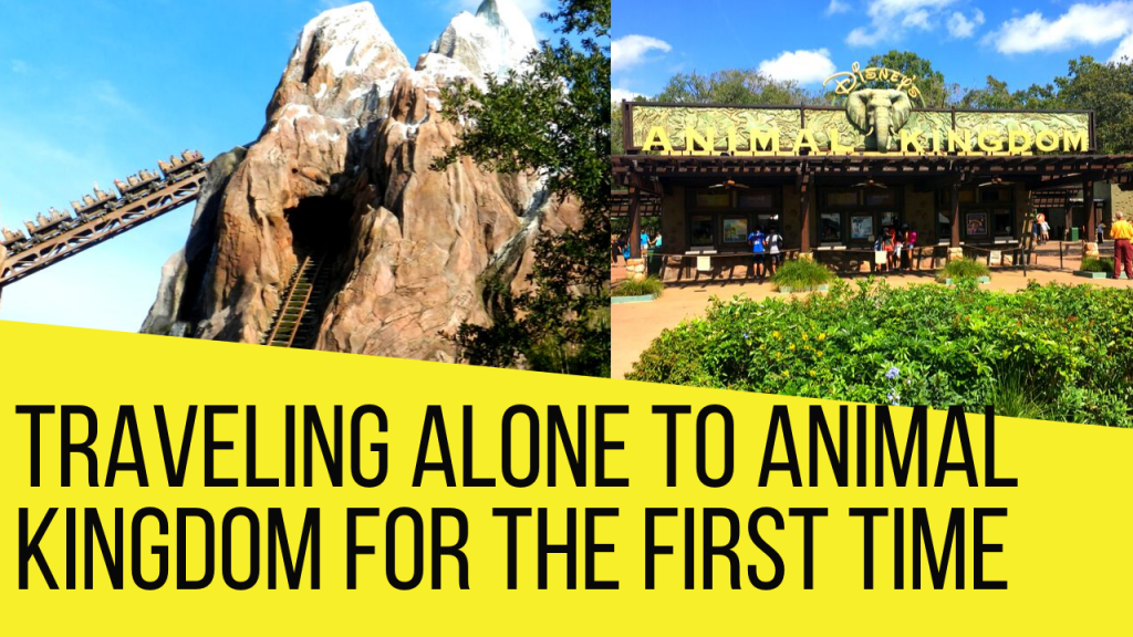 Animal Kingdom Solo Trip 2020