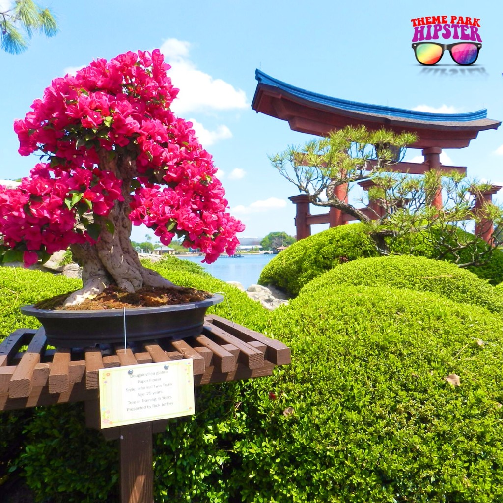 Japan Garden at Epcot.