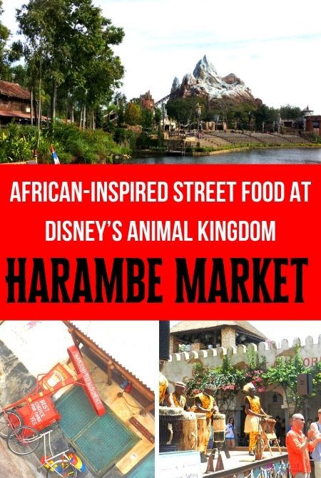 Theme Park Travel Guide to the Harambe Market at Disney Animal Kingdom