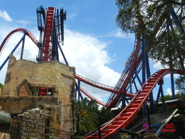 Sheikra Busch Gardens Must Do's