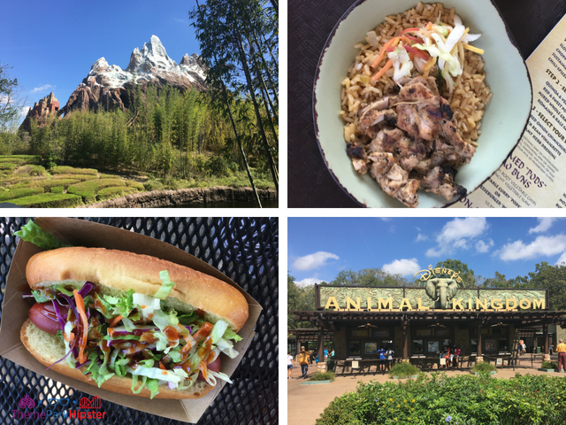 Top Five Animal Kingdom Snacks Disney World Hidden Secrets