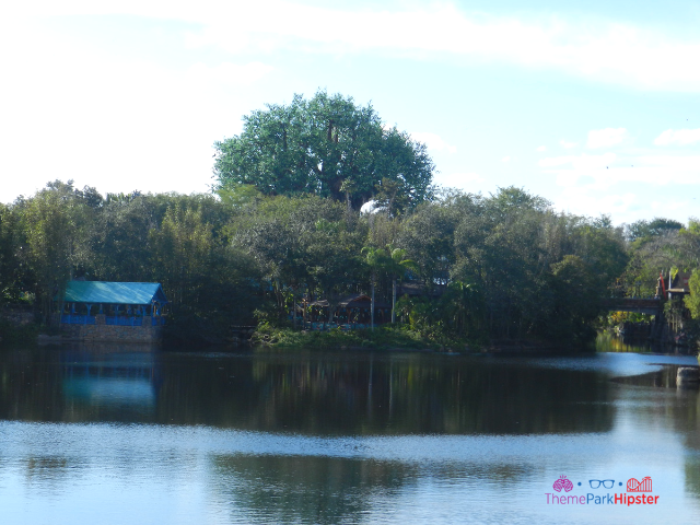 Animal Kingdom Discovery Island