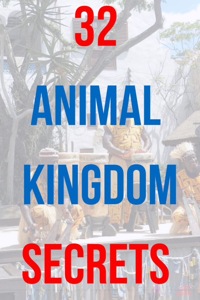 Theme Park Travel Guide to the Best Animal Kingdom Secrets in Africa at Disney #disneysecrets #disneyplanning