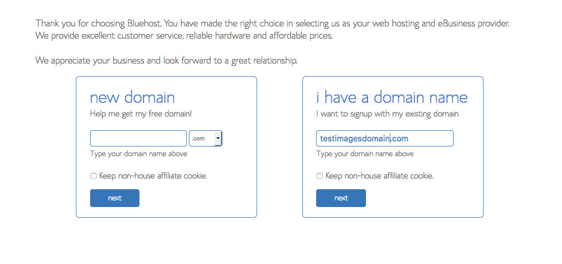 Bluehost domain name selection. Keep reading to learn how Disney Bloggers make money by setting up blog with Bluehost.