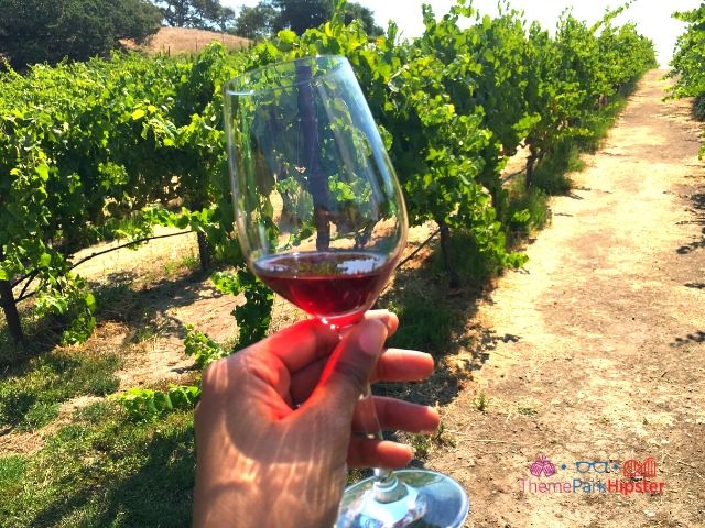 San Francisco Sonoma County Winery. Keep reading to get the full guide to the best 7 day California road trip itinerary. 