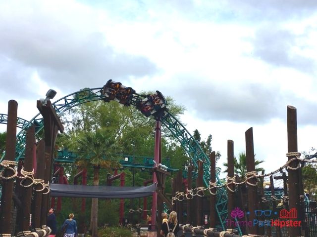 Cobra's Curse in Busch Gardens Tampa Roll on Curve