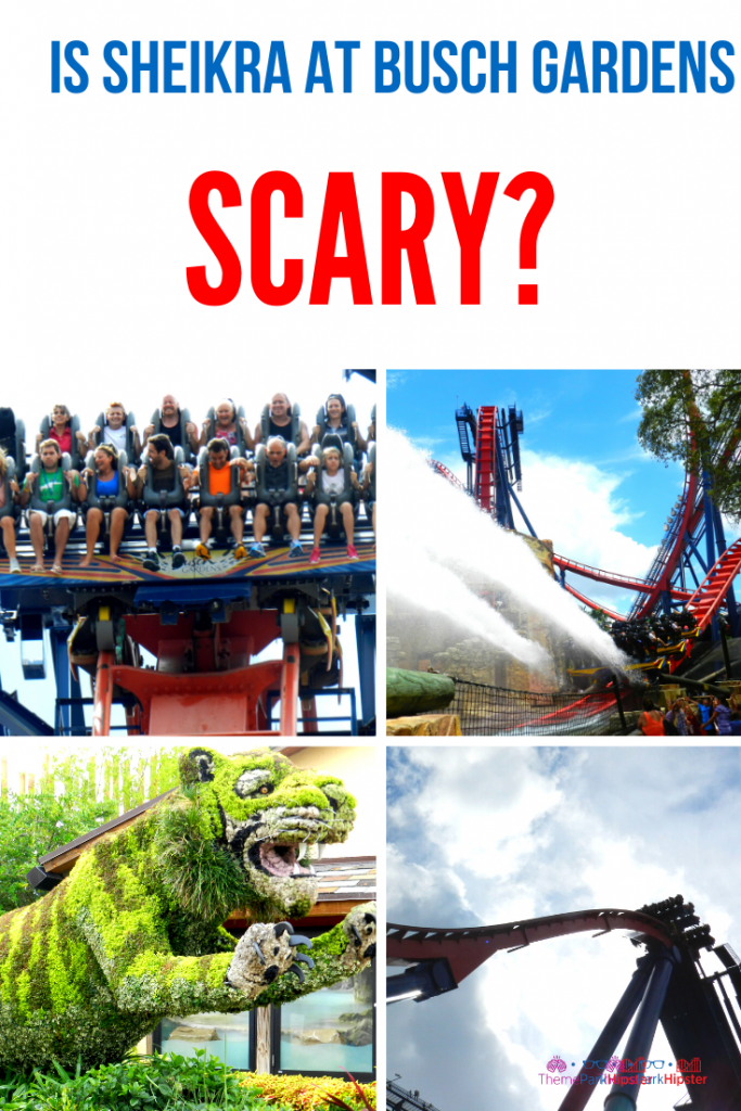 Is Sheikra at Busch Gardens Scary