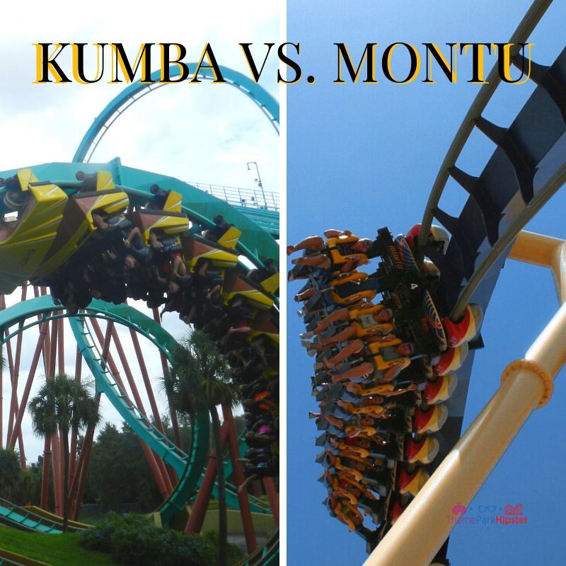 KUMBA VS. MONTU AT BUSCH GARDENS Tampa, Florida