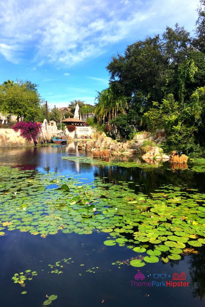 Animal Kingdom River overlooking Harambe Village in Africa