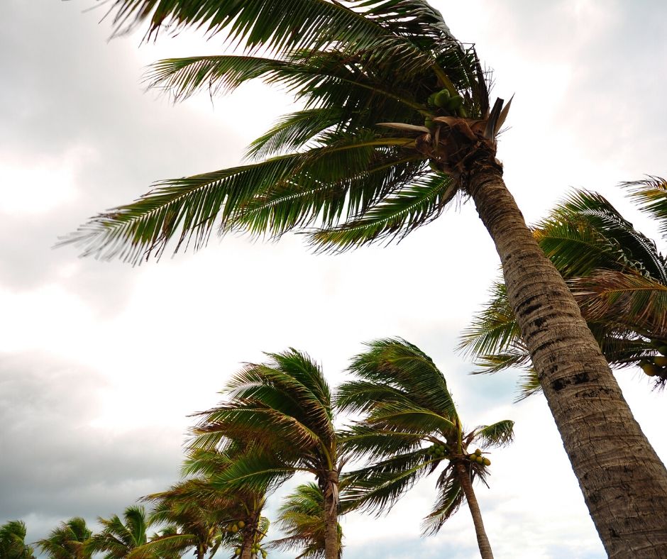 Hurricane Season at Walt Disney World in Florida. Keep reading to find out more about Disney World travel insurance.