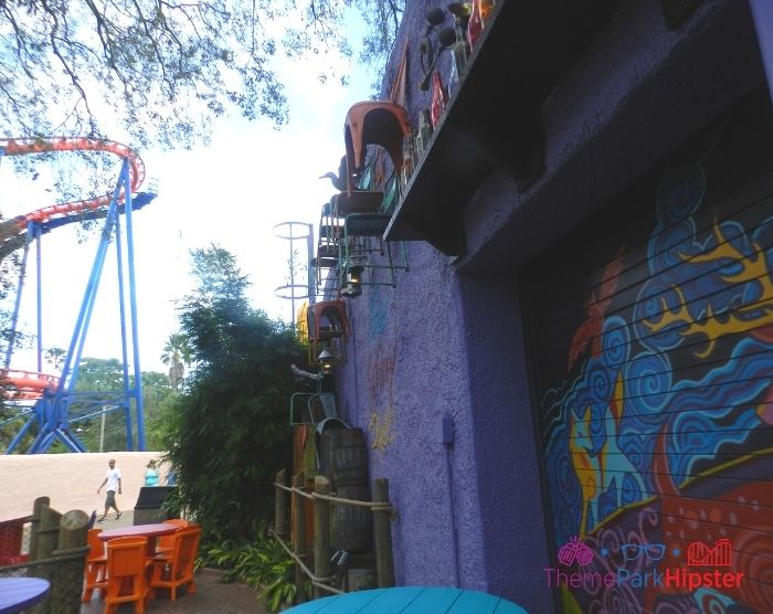 Scorpion Roller Coaster at Busch Gardens Tampa Near Eatery