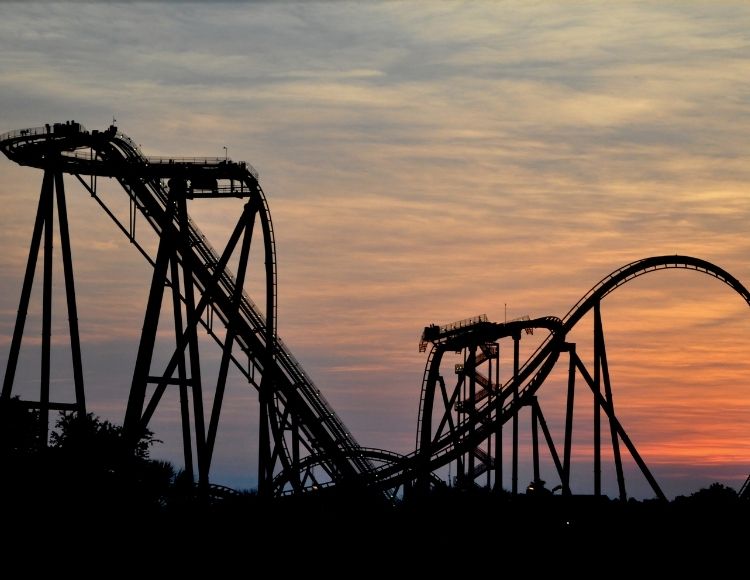 Sheikra at Busch Gardens Tampa