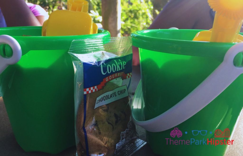 Typhoon Lagoon Green Pale with Chocolate Chip Cookie