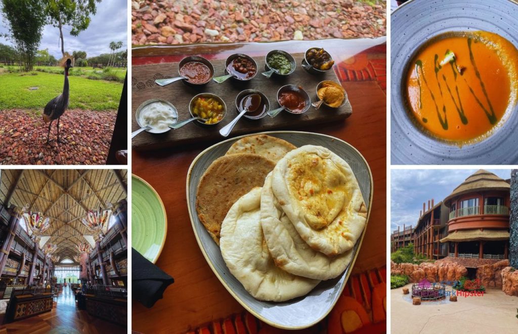 Sanaa Disney Restaurant with exotic wildlife, Indian bread service with dips, african inspired soup, exterior and towering ceilings of the interior. Keep reading to get the full guide to what to know before going to Walt Disney World. 