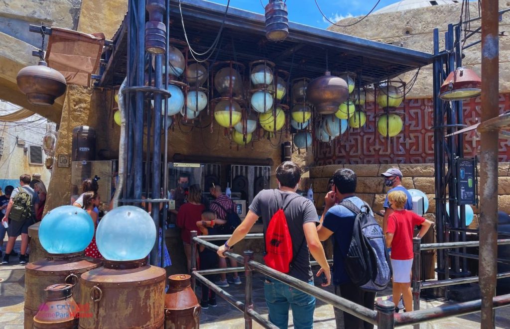 Disney Hollywood Studios Star Wars Land Blue and Green Milk Stand. Keep reading to know the best days to go to Hollywood Studios and how to use the Disney Hollywood Studios Crowd Calendar 2024.