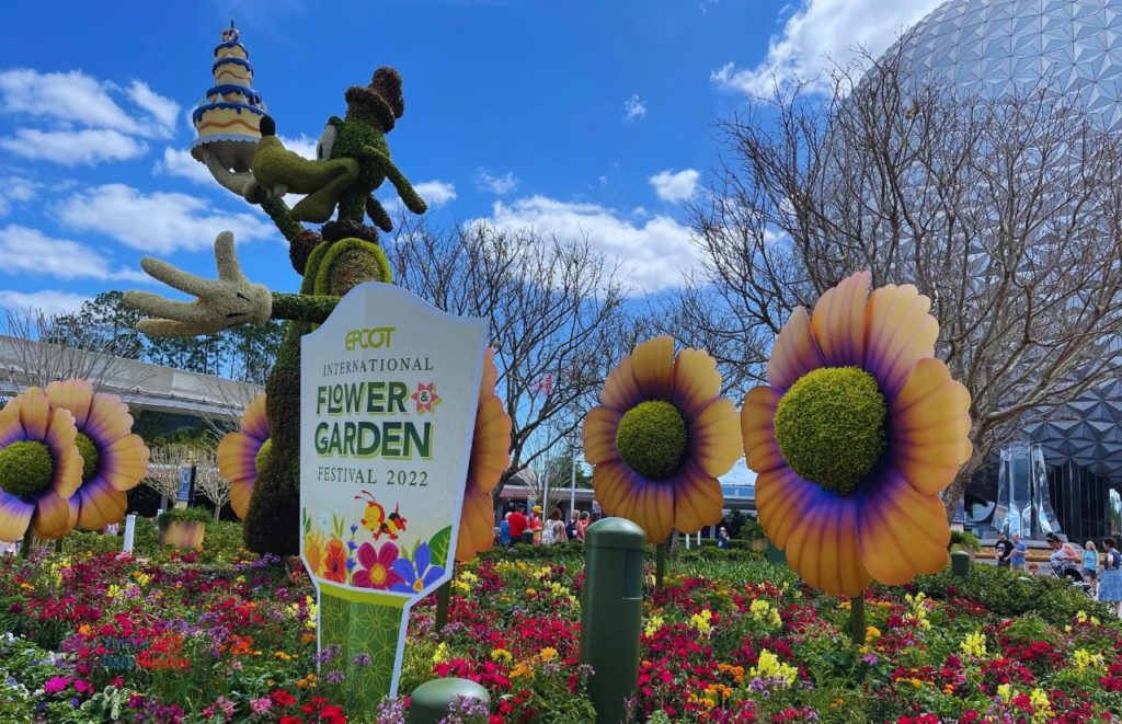 Epcot Flower and Garden Festival Goofy with 50th Anniversary Cake in front of Spaceship Earth. Keep reading to learn how to make money travel blogging and how Disney bloggers and vloggers YouTubers make money.