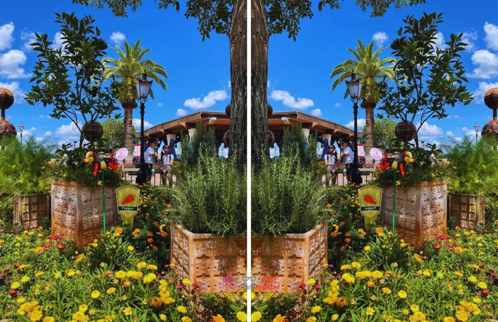 Epcot Flower and Garden Festival Pepper Garden. Keep reading for the best Epcot International Flower and Garden Festival tips!