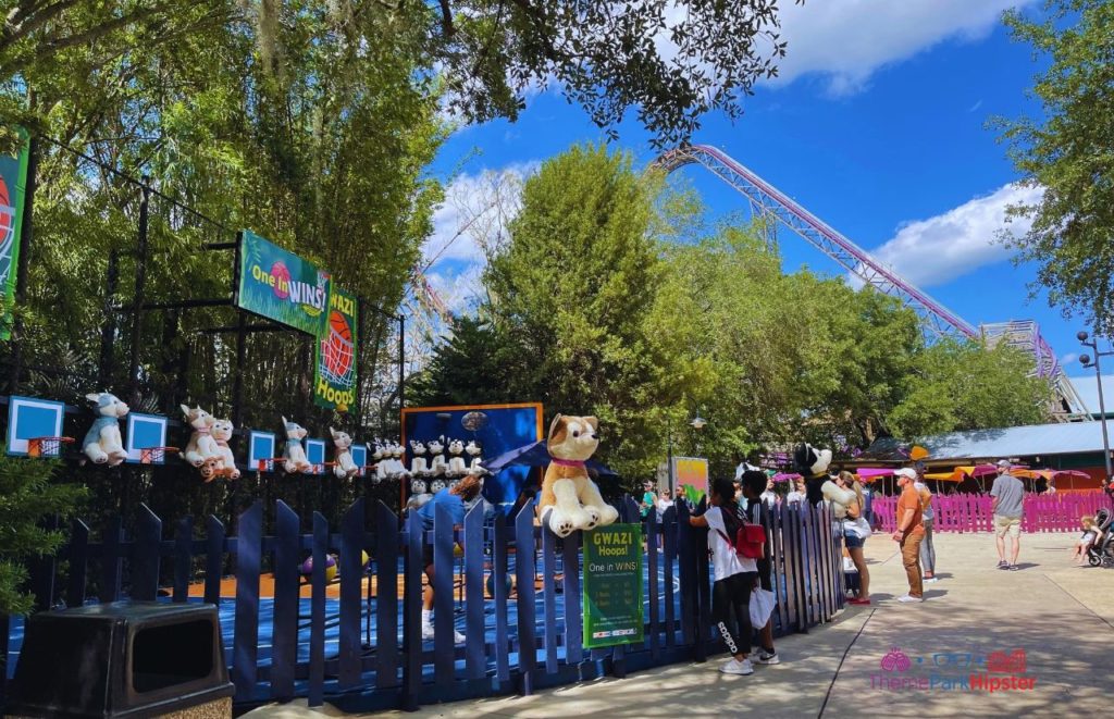 Busch Gardens Tampa Bay Gwazi basketball area. Keep reading for the battle of Iron Gwazi vs Gwazi.