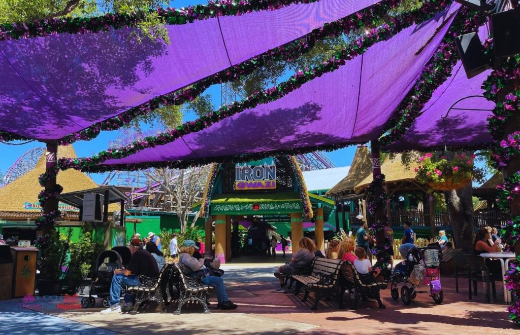 Busch Gardens Tampa Bay Iron Gwazi Sitting Area. Keep reading to see who wins in the Iron Gwazi vs Steel Vengeance battle!