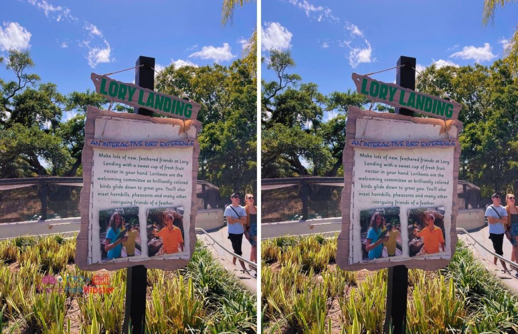 Busch Gardens Tampa Bay Lory Landing interactive bird experience sign amongst plants with theme park guests walking by. Keep reading to learn about Busch Gardens Tampa animals. 