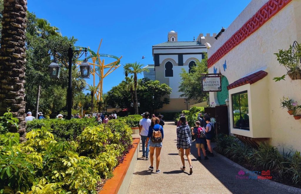 Busch Gardens Tampa Bay Nature’s Kingdom Shop with Cheetah Hunt roller coaster in the Background