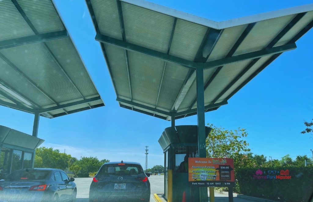 Busch Gardens Tampa Bay Parking attendant