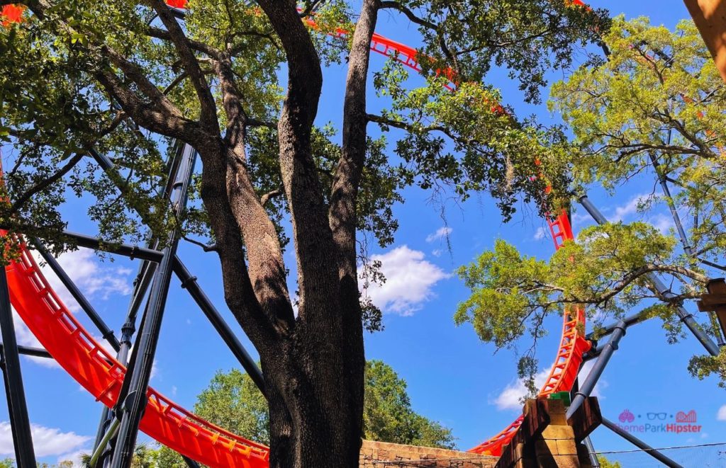 Busch Gardens Tampa Bay Tigris Loop