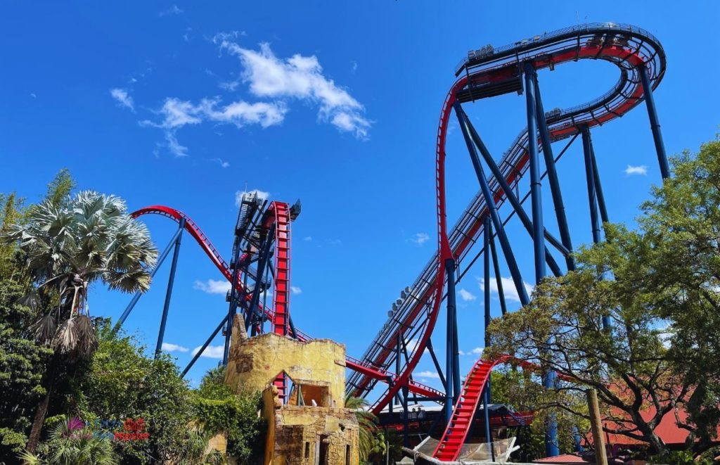 Busch Gardens Tampa Bay close up of Sheikra drop. Keep reading for tips on Busch Gardens Florida Resident discounts.