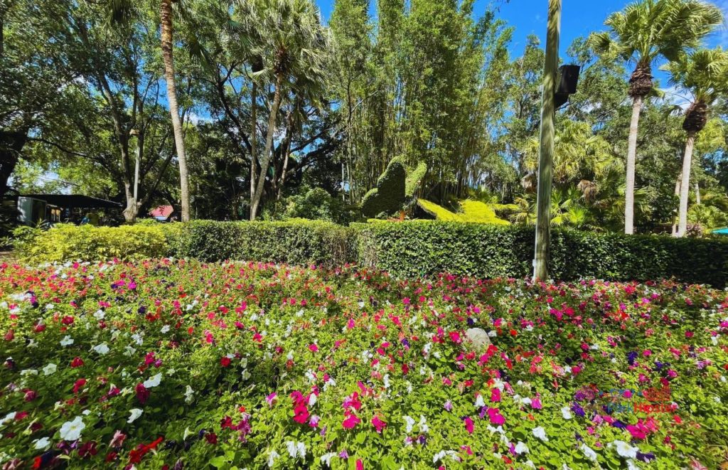 Busch Gardens Tampa Bay colorful butterfly topiary. Going to Busch Gardens alone doesn't have to be scary. Keep reading for more solo travel tips.