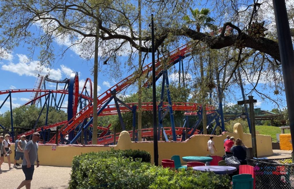 Busch Gardens Tampa Bay scorpion