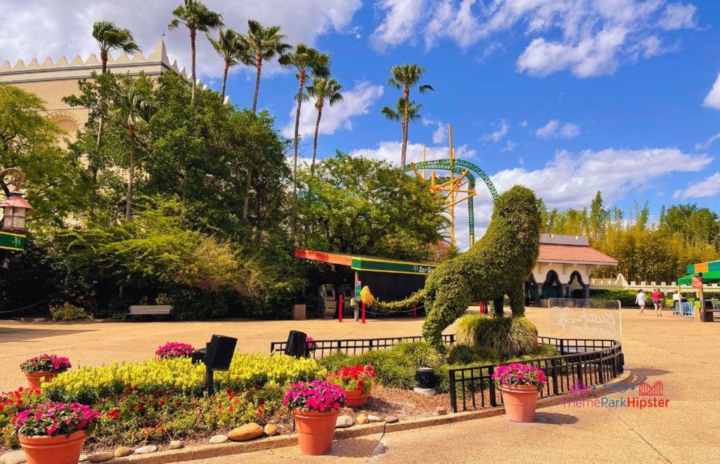 Busch Gardens Tampa Bay tiger topiary in front of cheetah hunt