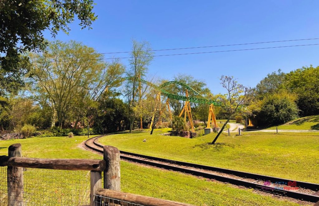 Busch Gardens Tampa Cheetah hunt next to train tracks next to the Skyride Busch Gardens Tampa Bay cables.