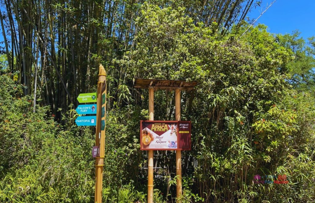 Busch Gardens Tampa Edge of Africa Entrance