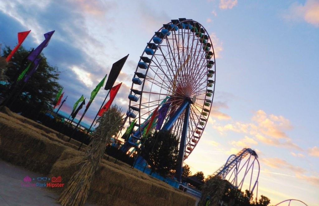 Cedar Point Sunrising over Ferris Wheel. Keep reading about The Goosebumps Amusement Park One Day at Horrorland.