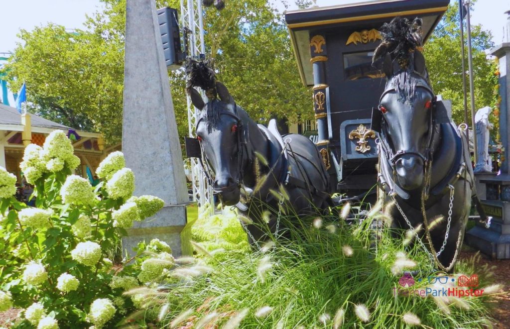 Cedar Point black horse and carriage at Halloweekends