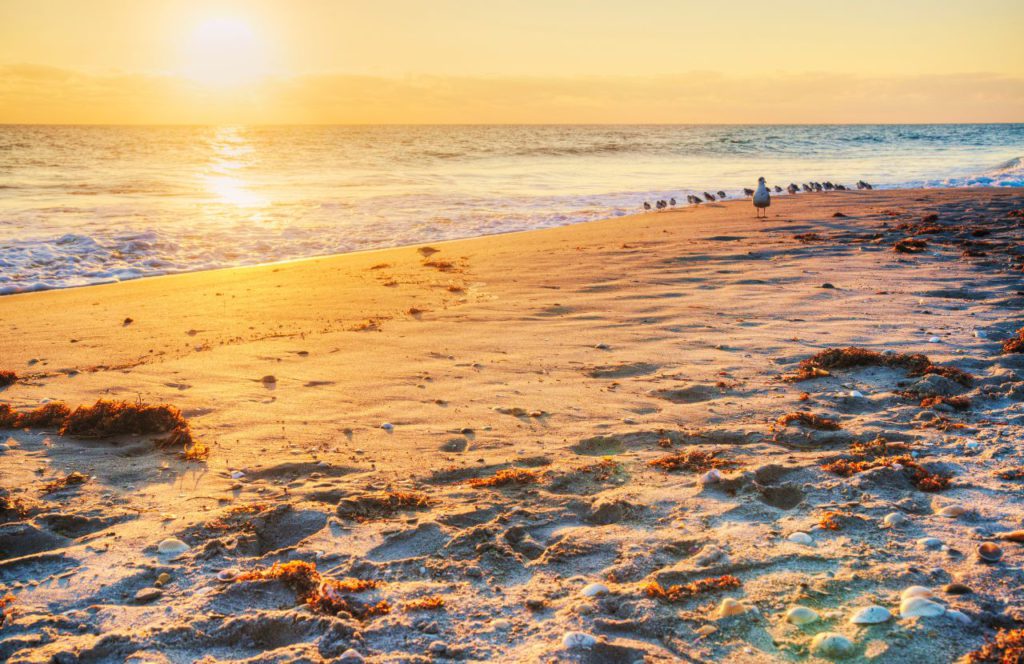 Satellite Beach, Florida. One of the best beaches near Disney World