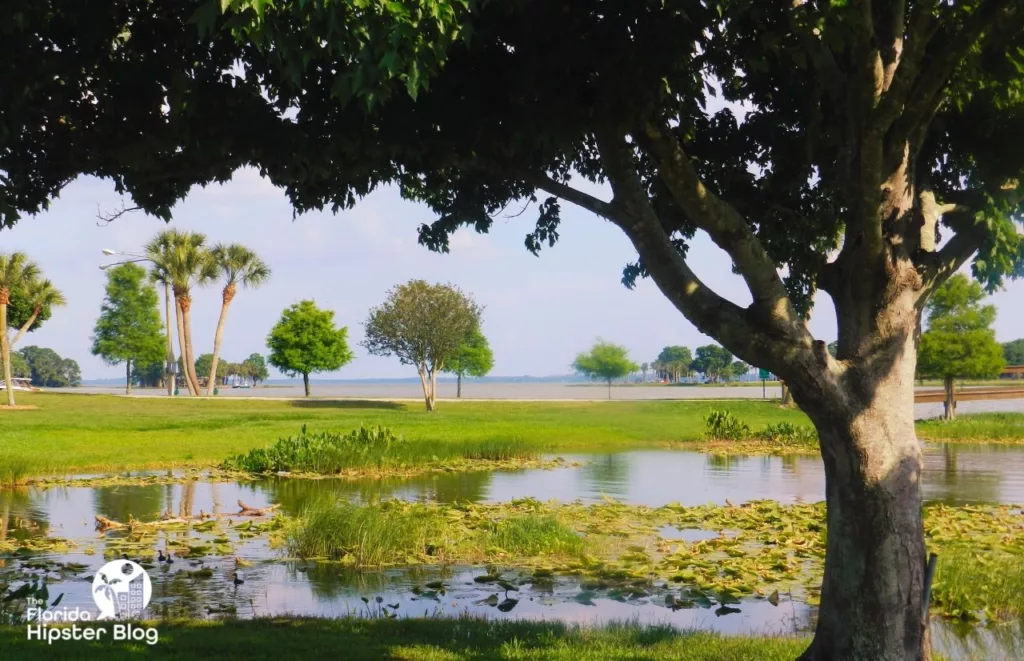 Venetian Gardens in Leesburg, Florida. Keep reading to see what you can do for the 4th of July in Orlando on Independence Day.