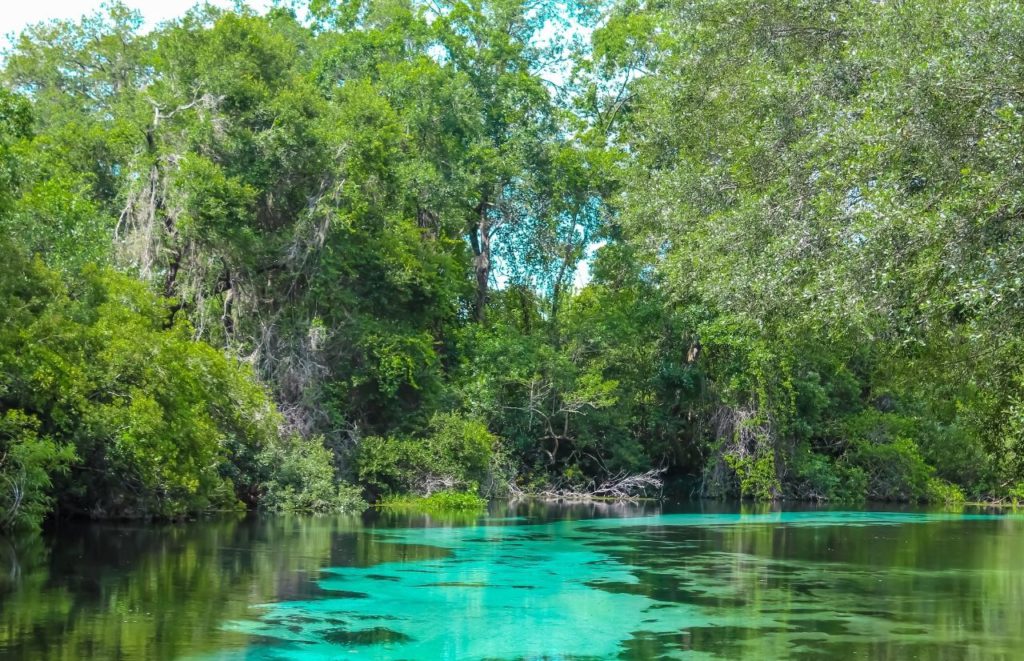 Weeki Wachee Springs Florida Day Trips from Orlando