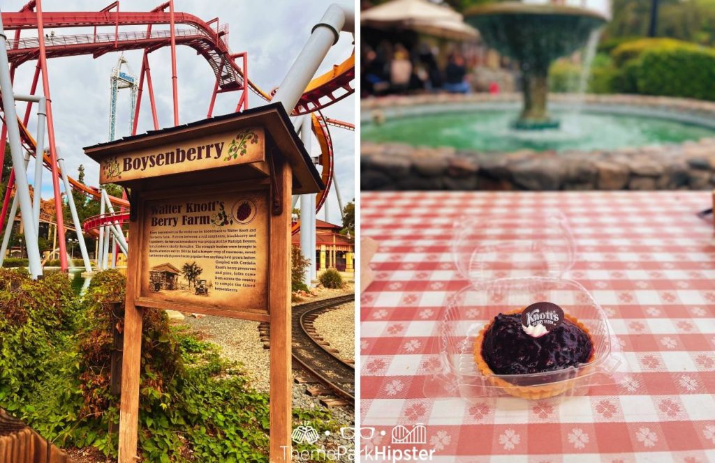 Boysenberry Pie History next to Silver Bullet Red Roller Coaster Knott's Berry Farm at Halloween Knott's Scary Farm