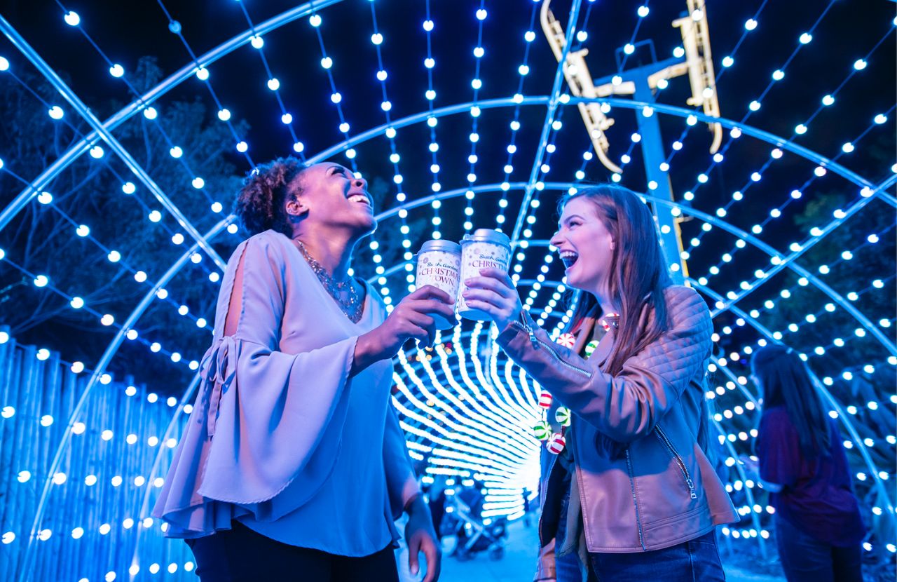 Holiday Light Tunnel at Busch Gardens Christmas Town Food Guide