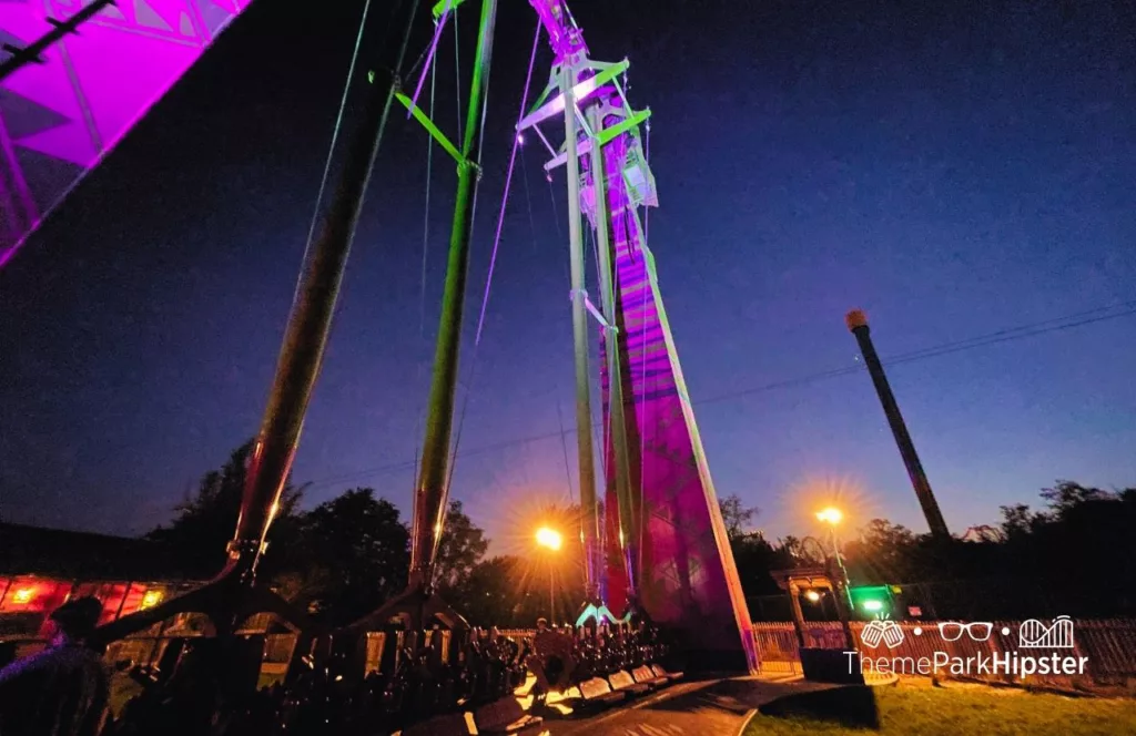 Busch Gardens Tampa Food and Wine Festival Serengeti flyer at night