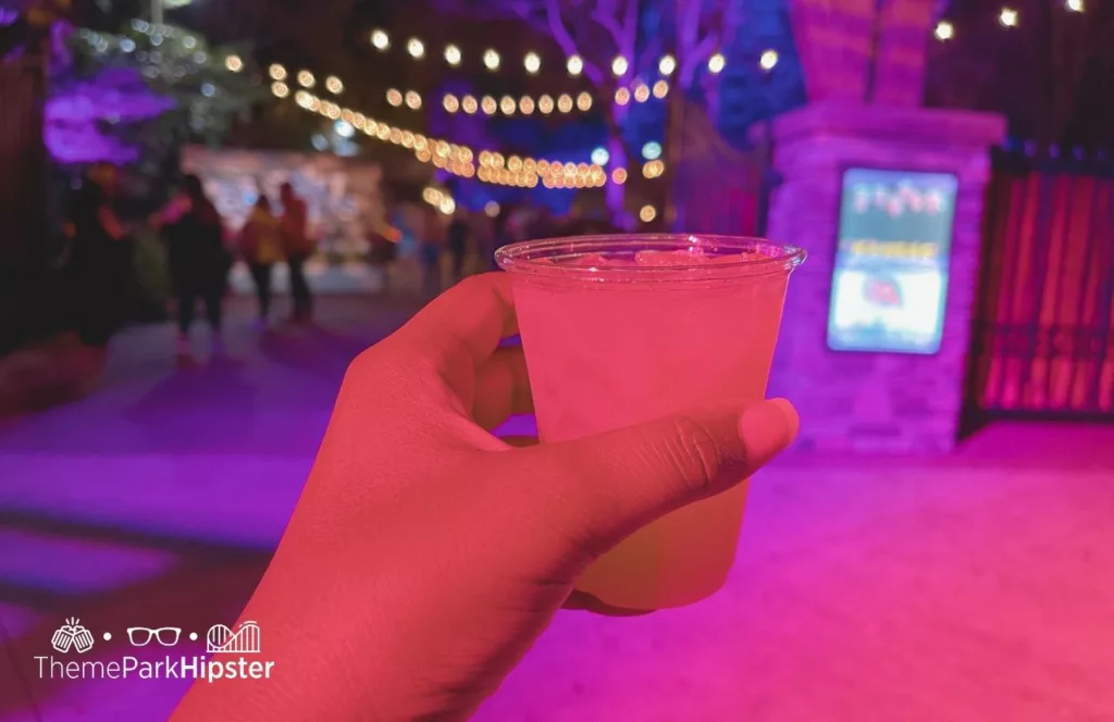 Busch Gardens Tampa Food at Christmas Town. Mistletoe Smash cocktail with blood orange and gin with a hint of sweetness from the pomegranate.