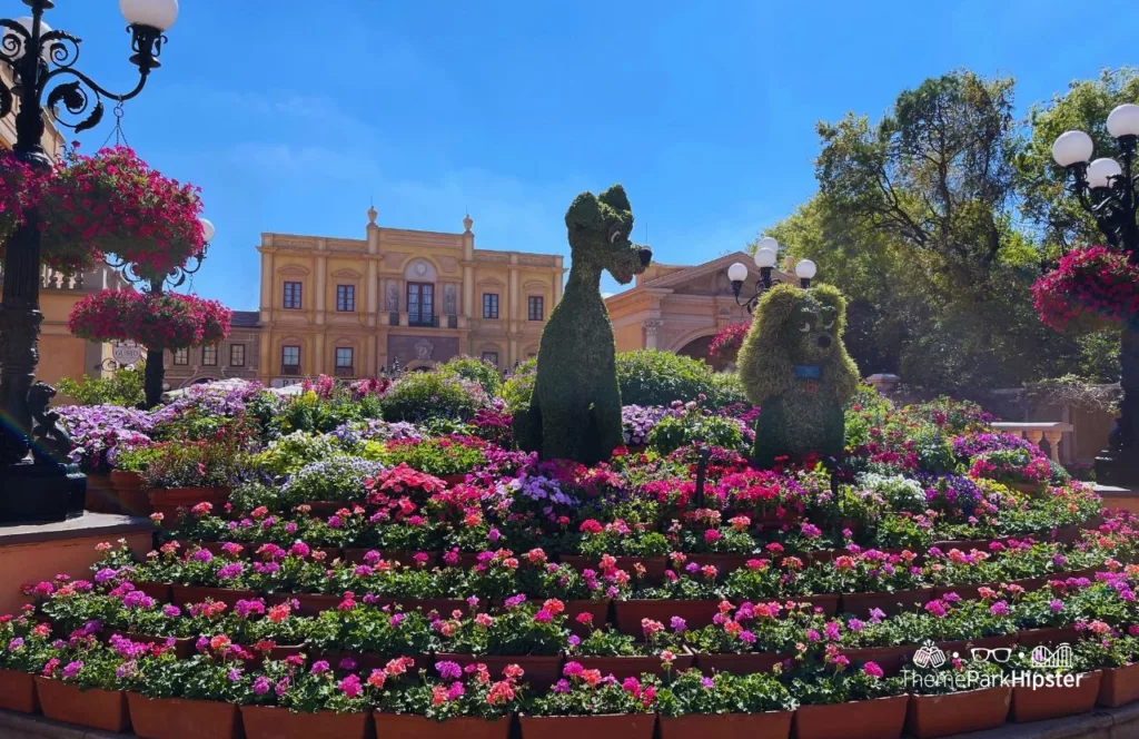 Epcot Flower and Garden Festival 2023 Italy Pavilion Lady and the Tramp Topiary. Keep reading to learn more about which Orlando theme park is the best. 