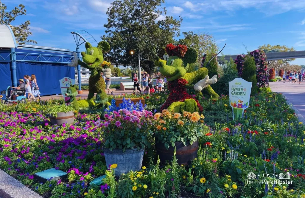 Epcot Flower and Garden Festival Itinerary 2023 Mickey and Minnie Mouse Topiary